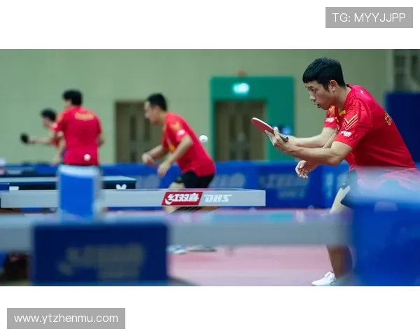 上海乒乓球队在奥运会上的个人能力表现深度点评与分析 上海乒乓球队在奥运会上的个人能力表现深度点评与分析