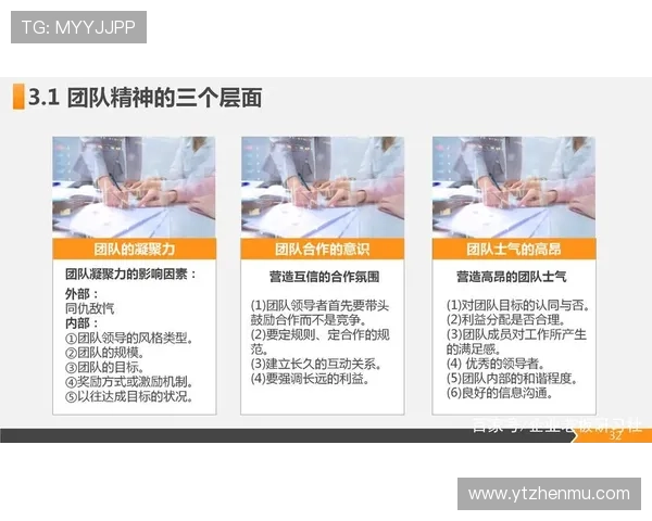 南京乒乓球队的意识提升与团队协作探讨聚焦乒乓球运动发展新方向