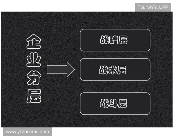 武汉篮球队战术解析与运营体系探讨全面提升球队竞争力的策略研究